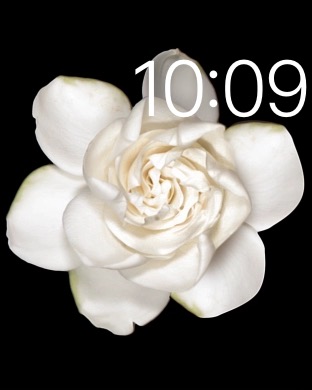 Motion Flower – Watch Modern Buckle Brown on Apple Watch (1st generation) 42mm running watchOS 1.0.1