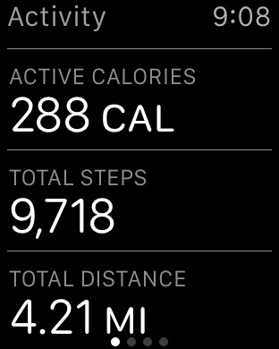 Activity Details on Apple Watch (1st generation) 42mm running watchOS 1.0.1