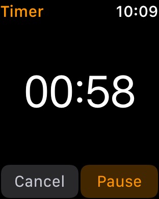 Timer Active on Apple Watch Series 3 (42mm) running watchOS 4.3.1