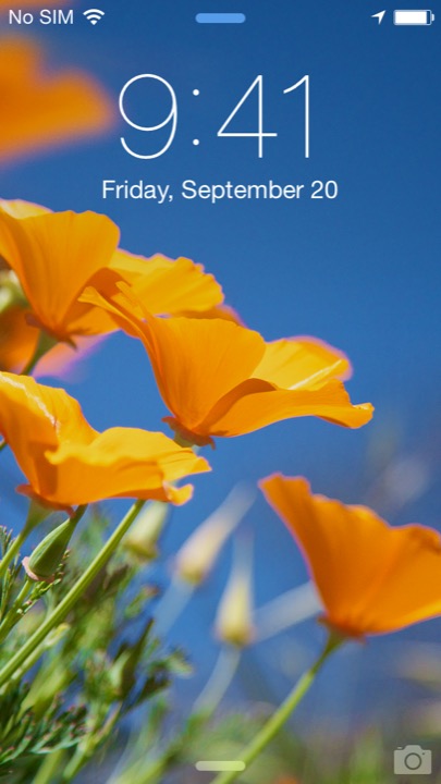 Poppies Lock Screen on iPhone 5S + iPhone 5C running iOS 7.1.1