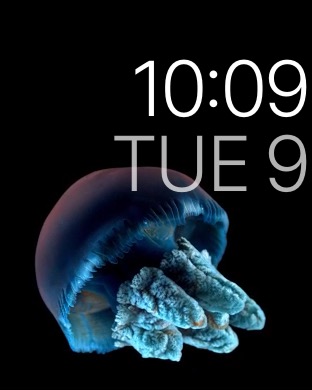 Motion Alt on Apple Watch (1st generation) 42mm running watchOS 1.0.1