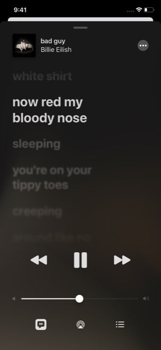 Apple Music Lyrics on iPhone 11 running iOS 13.5.1