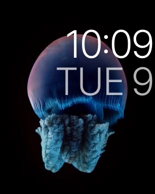 Motion Alt 2 on Apple Watch (1st generation) 42mm running watchOS 1.0.1