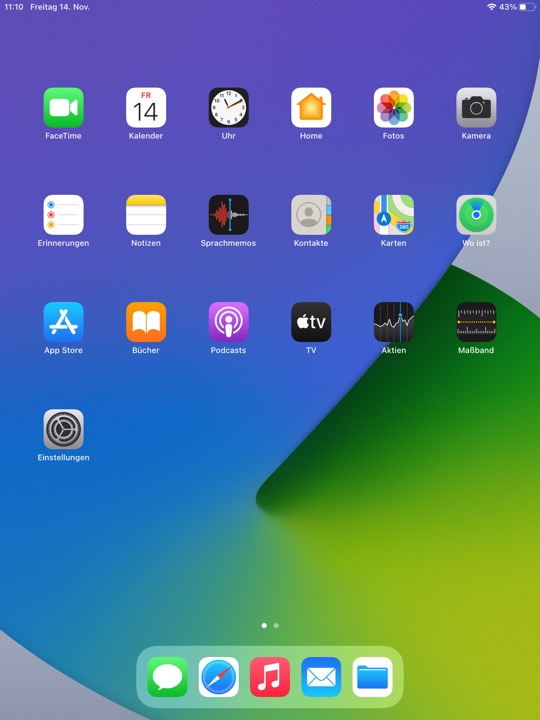 Home Screen Light Portrait on iPad (8th generation) running iPadOS 14