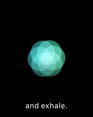Breathe 5 on Apple Watch Series 3 (42mm) running watchOS 4.3.1