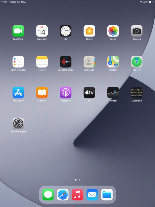 Home Screen Light Portrait on iPad (8th generation) running iPadOS 14