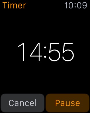 Timer Active on Apple Watch (1st generation) 42mm running watchOS 1.0.1