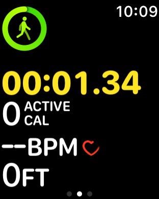 Workout Active on Apple Watch Series 3 (42mm) running watchOS 4.3.1