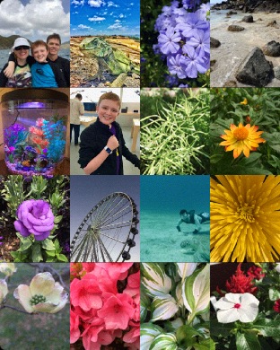 Photos on Apple Watch (1st generation) 42mm running watchOS 1.0.1