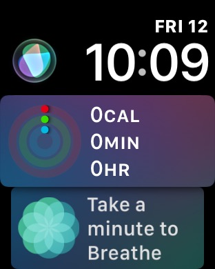Siri on Apple Watch Series 3 (42mm) running watchOS 4.3.1