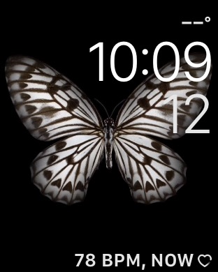 Motion – Butterflies on Apple Watch Series 3 (42mm) running watchOS 4.3.1