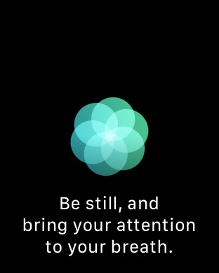 Breathe 2 on Apple Watch Series 3 (42mm) running watchOS 4.3.1