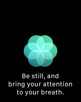 Breathe 1 on Apple Watch Series 3 (42mm) running watchOS 4.3.1
