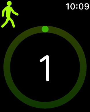Workout Countdown 1 on Apple Watch Series 3 (42mm) running watchOS 4.3.1