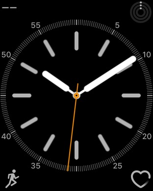 Simple on Apple Watch Series 3 (42mm) running watchOS 4.3.1