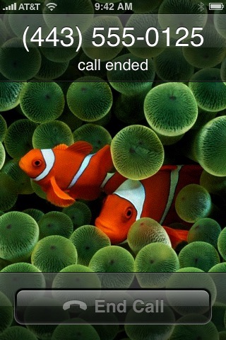 Call Ended on iPhone (1st generation) running iPhone OS 1.0