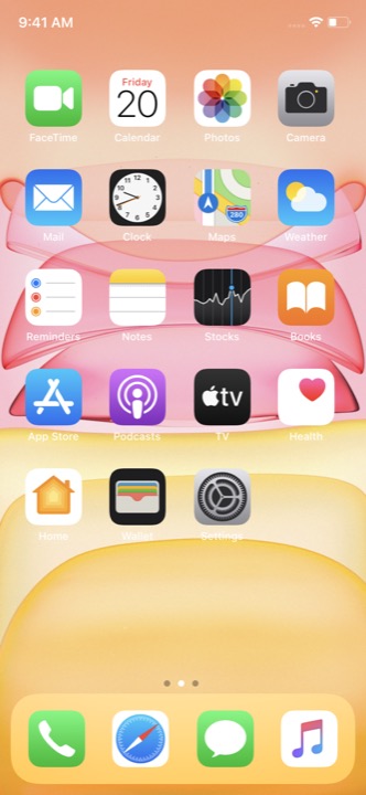 Home Screen Light on iPhone 11 running iOS 13.5.1