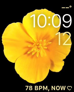 Motion – Flowers on Apple Watch Series 3 (42mm) running watchOS 4.3.1