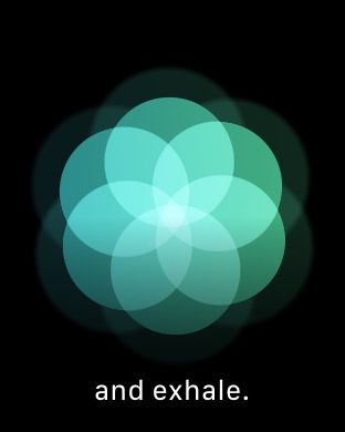 Breathe 4 on Apple Watch Series 3 (42mm) running watchOS 4.3.1
