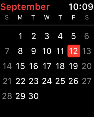 Calendar Month on Apple Watch Series 3 (42mm) running watchOS 4.3.1