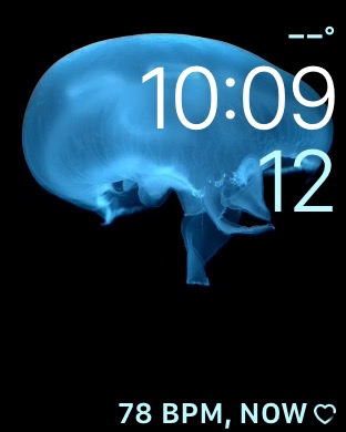 Motion – Jellyfish on Apple Watch Series 3 (42mm) running watchOS 4.3.1