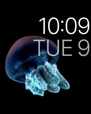 Motion Alt 3 on Apple Watch (1st generation) 42mm running watchOS 1.0.1